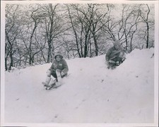 News Happy Excited Children Ride Sleds Down Snowy Hill Weather 8X10 Press Photo