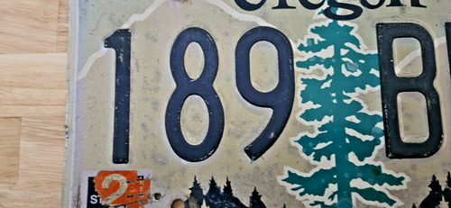 TARGA OREGON PINO🌲 VIOLA MONTAGNE 189BBH discrete condizioni - Foto 6 di 6