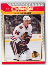 Dave Bolland 2009 Chicago Blackhawks #427