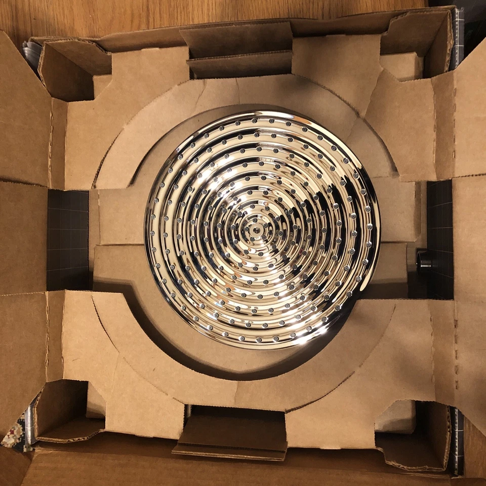 Hansgrohe 27474001 Raindance Downpour Air Cabezal de ducha 10": Cromo Foto 2 de 4