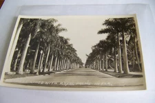 Rare Antique Vintage RPPC Real Photo Postcard Royal Palms Florida Street Lined
