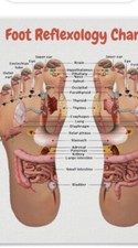 Reflexology Level 3 Case Study