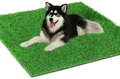 Artificial Grass for Dogs Pee Tray Fake Grass Mat for Professional Puppy Pott...