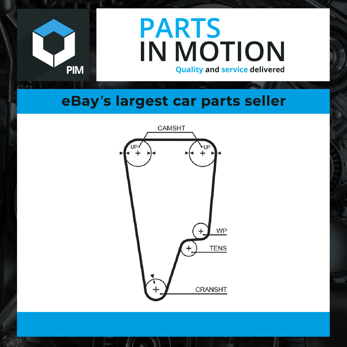 Gates T247RB Timing Belt - Image 3