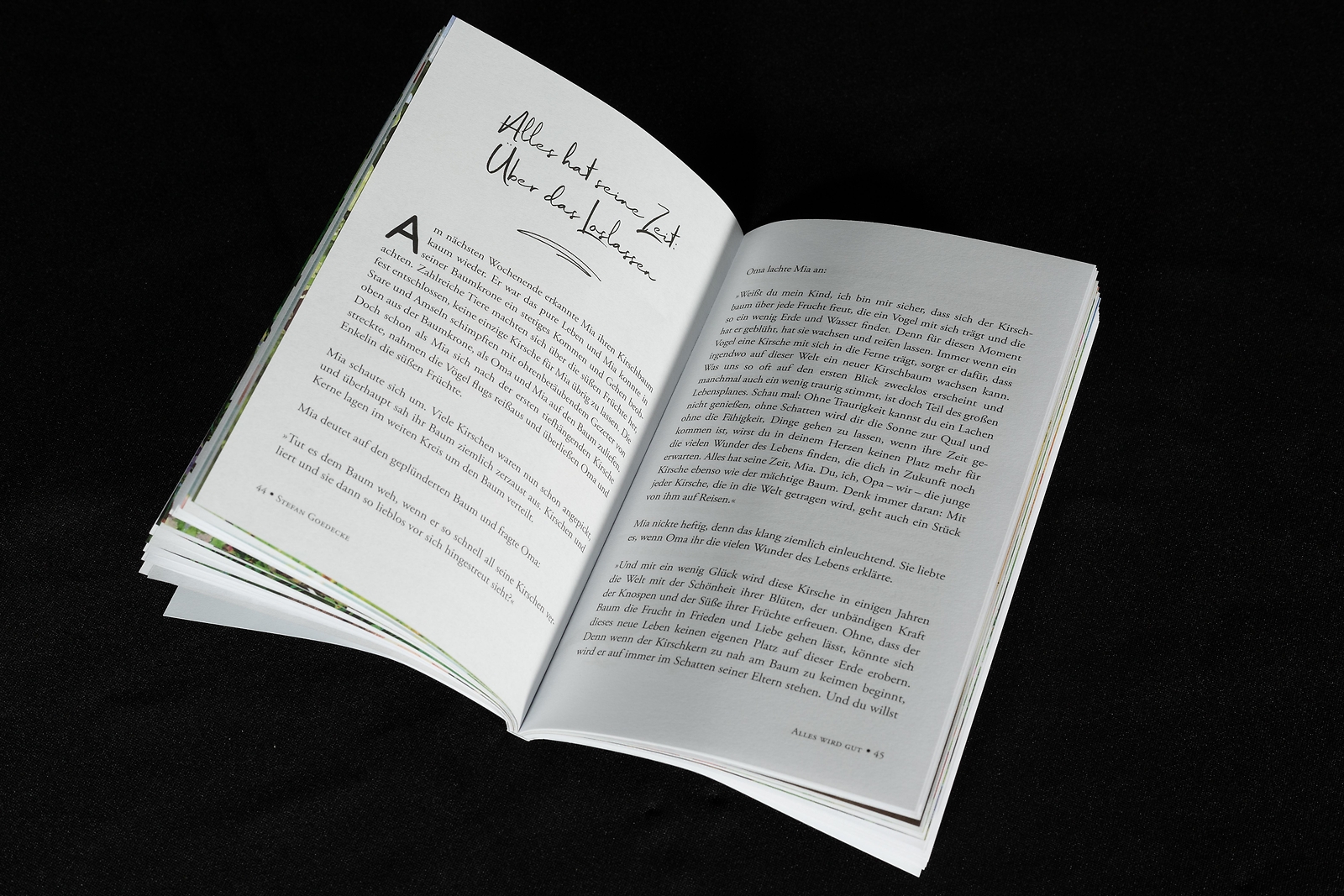 Thumbnail - Alles Wird Gut Stefan Goedecke