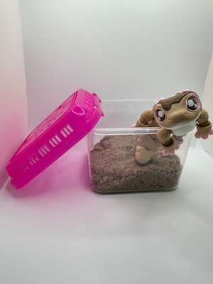  Frosted Gecko   3D-Printed Articulated Fidget Toy with Small Plastic Container