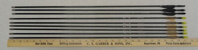 Original Vintage - Beman Carbon Arrows - DIVA  ''C'' 20