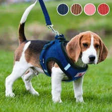 Pet Puppy Harness Breathable Mesh And Leash Set Vest Chest Strap Small Dog USA
