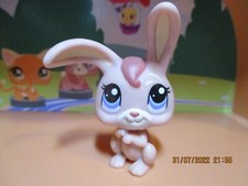 Petshop Lapin  de Garenne #1399