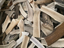 9" Split Elk Antler Chew C Grade XL Naturally Shed Large Dog Treat - 2 Pieces