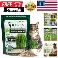 Wheat Grass Seeds – Non-GMO Organic Seeds for Planting, Cat Grass Kit Planter...