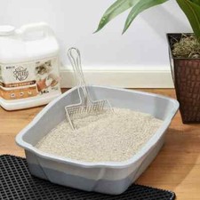 Special Kitty Odor Control Tight Clumping Cat Litter, Fragrance Free, 14 lb