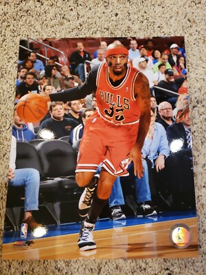 Photo File NBA Richard Hamilton Chicago Bulls 8x10 Photo