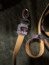 6 foot Dual Design Custom Latch Dog Leash 1 Inch Wide