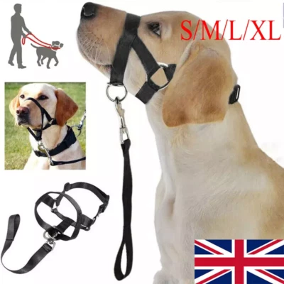 Halti Headcollar Non Pull Dog Head Collar for Training Adjustable Dog Halter