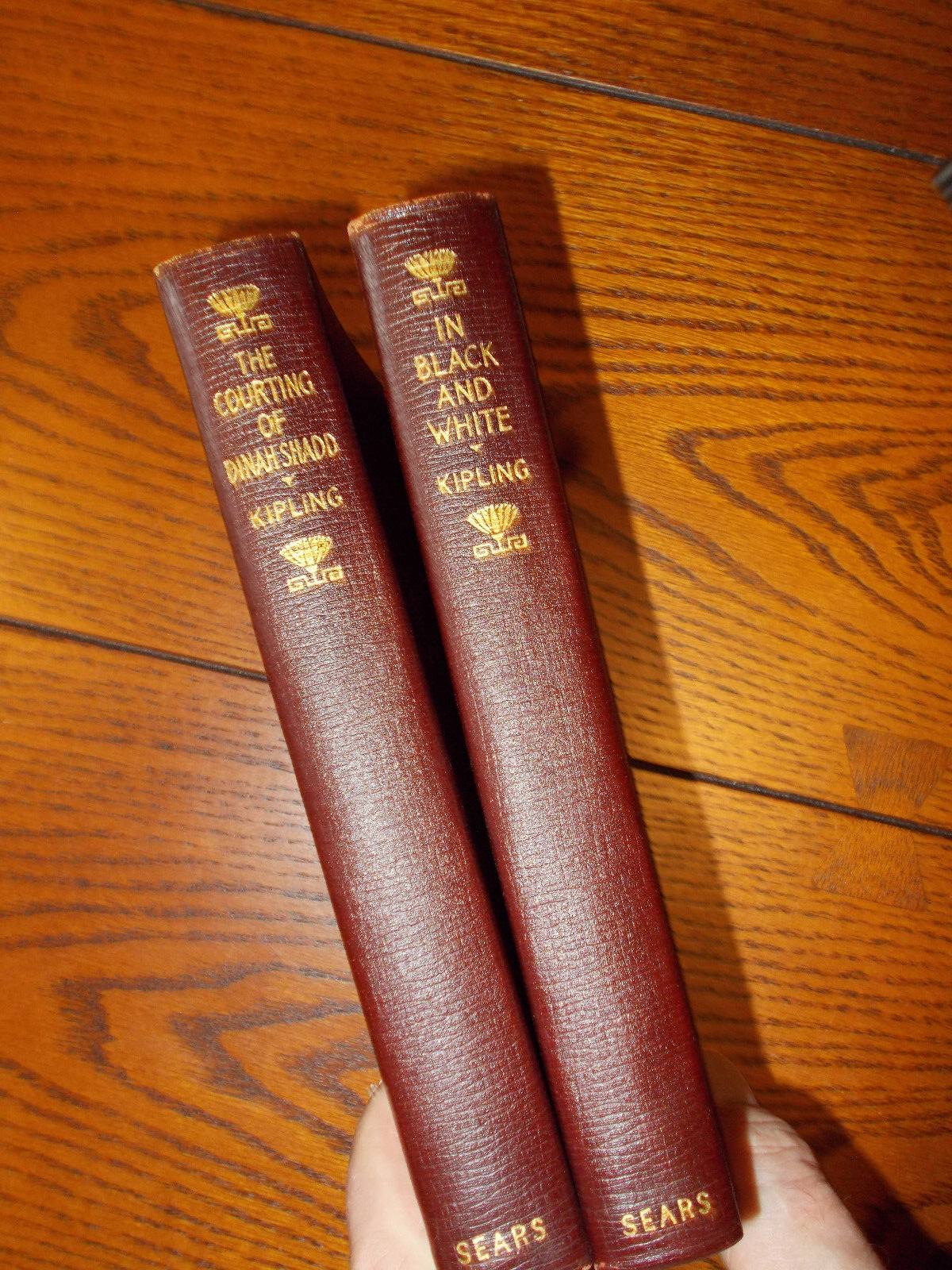 R Kipling Dinah Shado 2-Book Set 1900s Antique Leather J H Sears Classics  