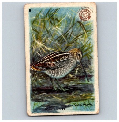 ARM HAMMER 1924 FOURTH SERIES USEFUL BIRDS CARD #8 WILSON SNIPE AH 2900