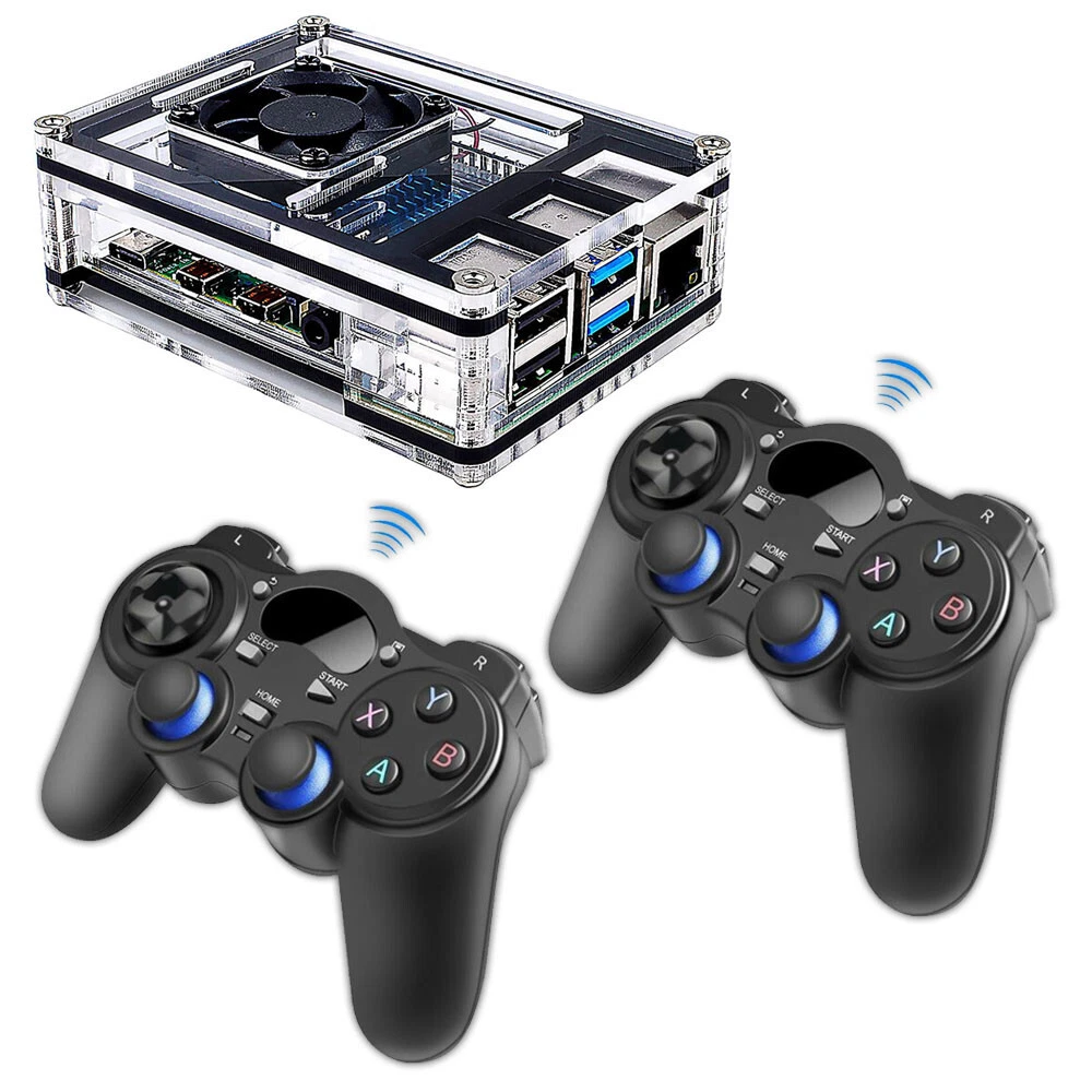 Raspberry 2024 video game