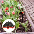 Foto 6 di 12