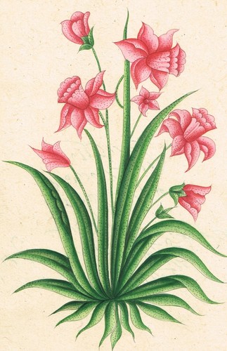 Handmade Flora Flower Painting Of Indian Botanical Art On Paper 9x12.5 inches - Picture 4 of 5