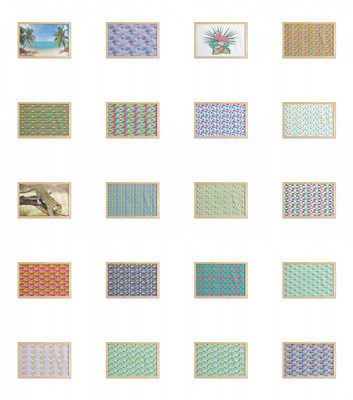 Ambesonne Exotic Wall Art with Wide Frame for Bathrooms Living Room