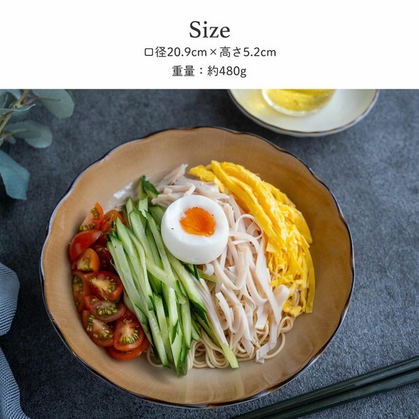 Japanese Tosuka Ceramic Deep Plate Pasta Plate Dinner Dish