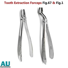 Dental Extracting Extraction Forceps Incisors Root Teeth Surgical Instruments