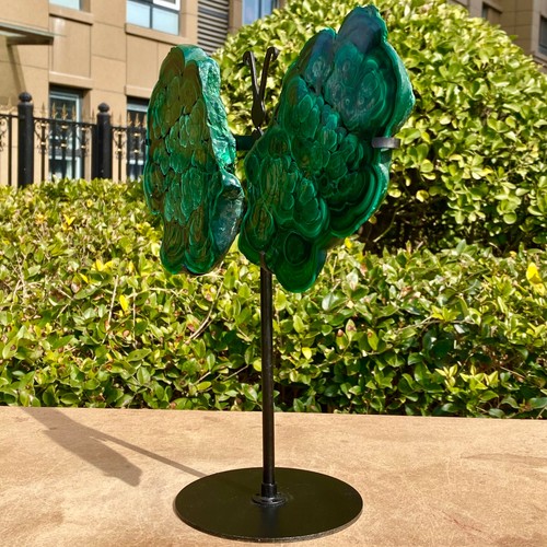 3.22LB Natural crystal Malachite wing Crystal Healing + brackets - 第 10/19 張圖片