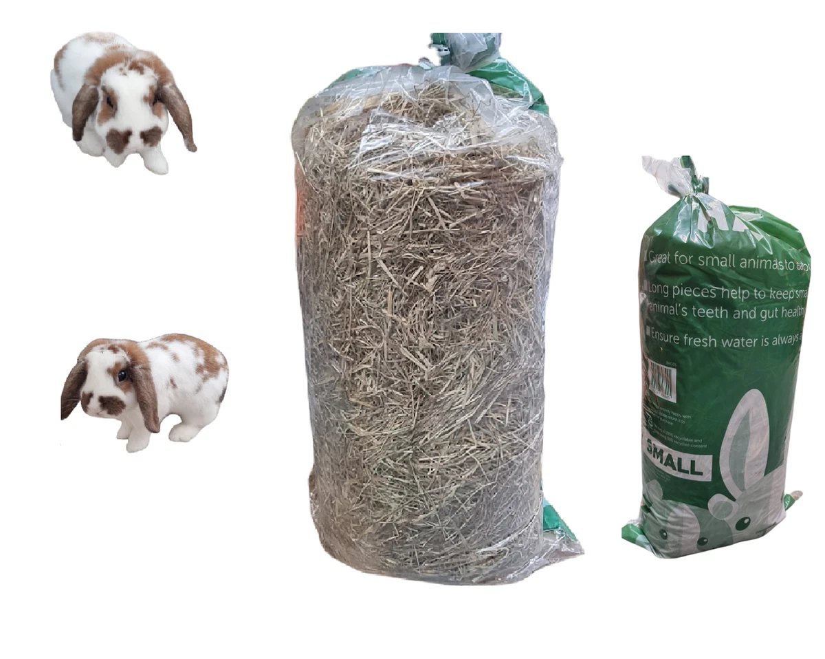 Bedding Hay For Rabbits Cheap Sale head.hesge.ch
