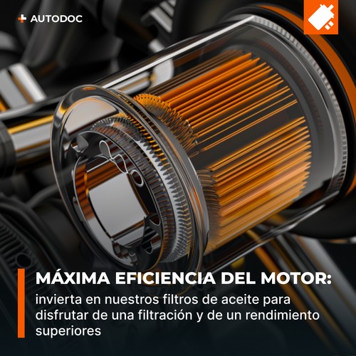 MANN-FILTER W 940/34 Filtro de aceite Filtro de aceite motor para FORD Cargo - Imagen 6 de 12