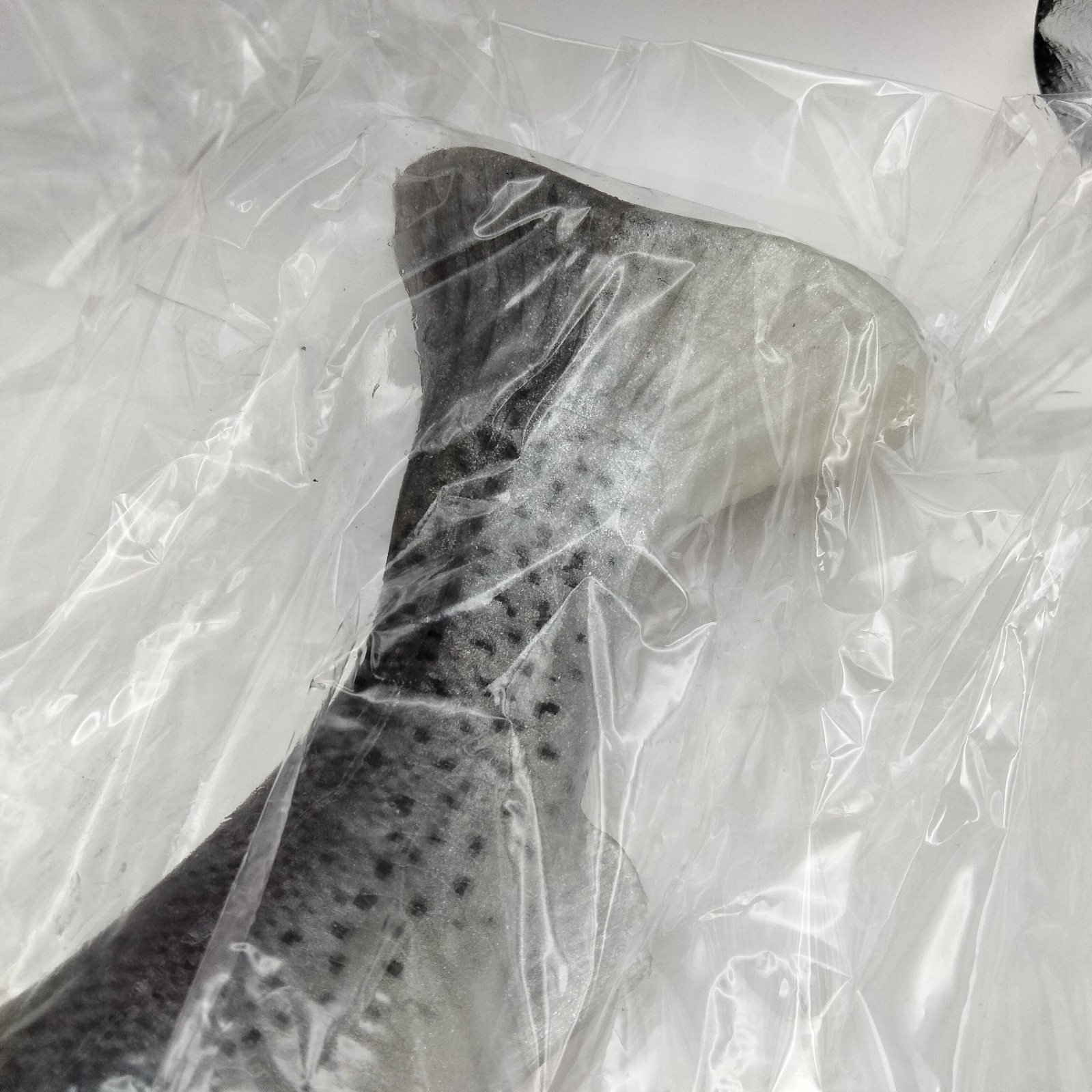 Signal Ultra Carp Version 2 Dark Rainbow swimbait Japan fishing lure HTF rare - Image 8