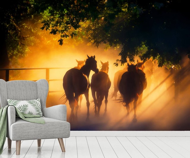 Vlies Tapete Xxl Poster Fototapete Pferde Sonnenuntergang Ebay