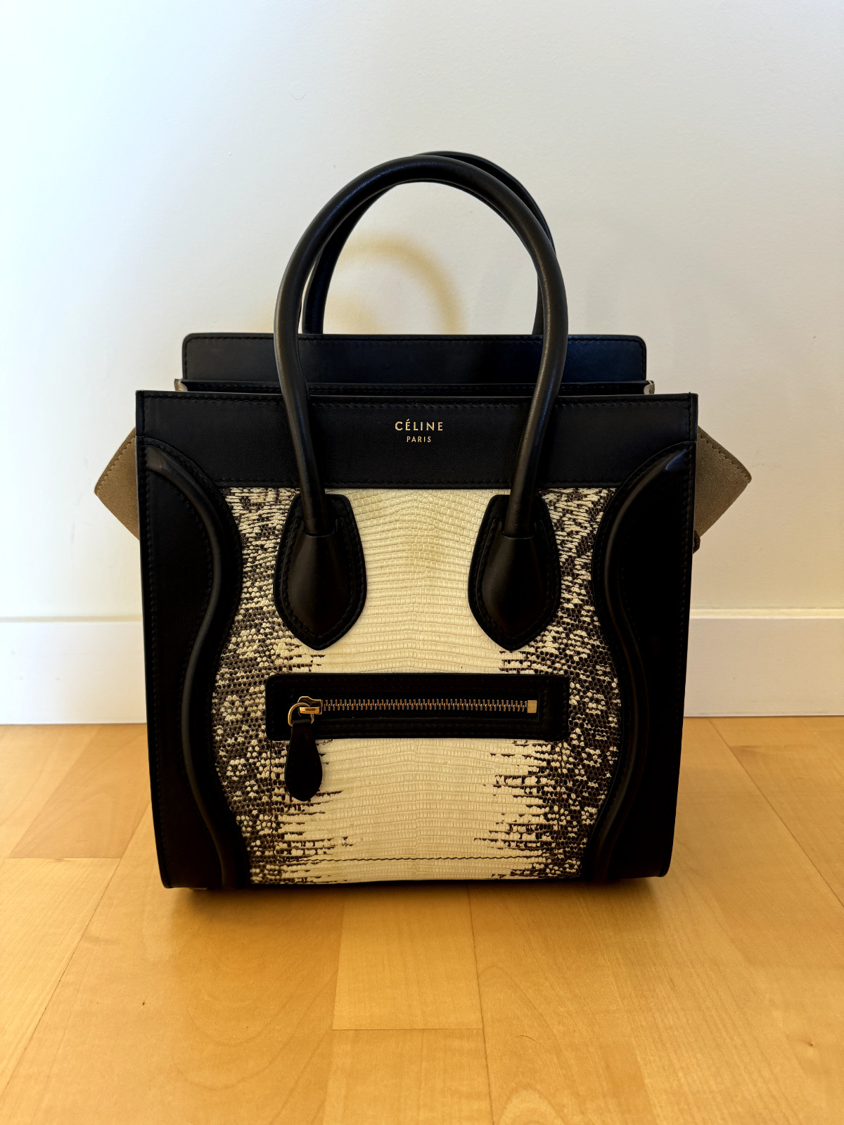 RARE Celine Watersnake Python Mini Luggage Tote Bag - Gem