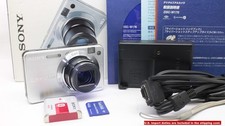 Sony Cyber-shot DSC-W170 10.1MP Digital Camera - Silver (DSC-W170