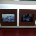 Bild 8 von 12