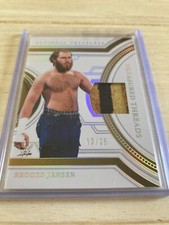 brooks jensen patch card 2024 panini national treasures wwe #13/25