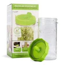 Masontops Mason Jar Bean Sprouting Starter Set - Easy DIY Bean Sprout Growing