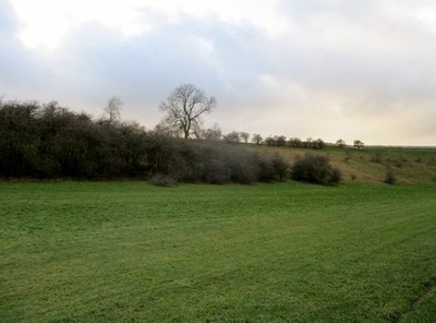 Foto 6x4 Peeling an der Seite von Great Dug Dale Warter c2018