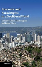 Economic and Social Rights in a Neoliberal World by
