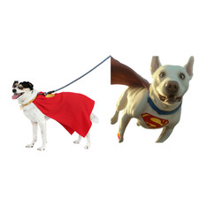 Superman Krypto the Superdog Cosplay Costume  DC Outfit