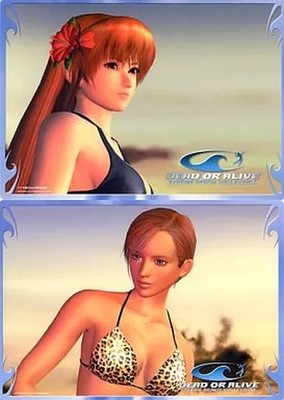 Dead or Alive Xtreme Beach Reversible Shitajiki Kasumi & Lisa