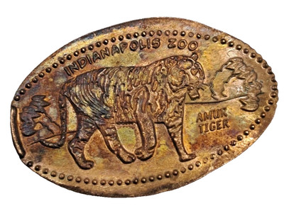 Indianapolis Zoo, Amur Tiger Souvenir Elongated Penny Pressed #1005