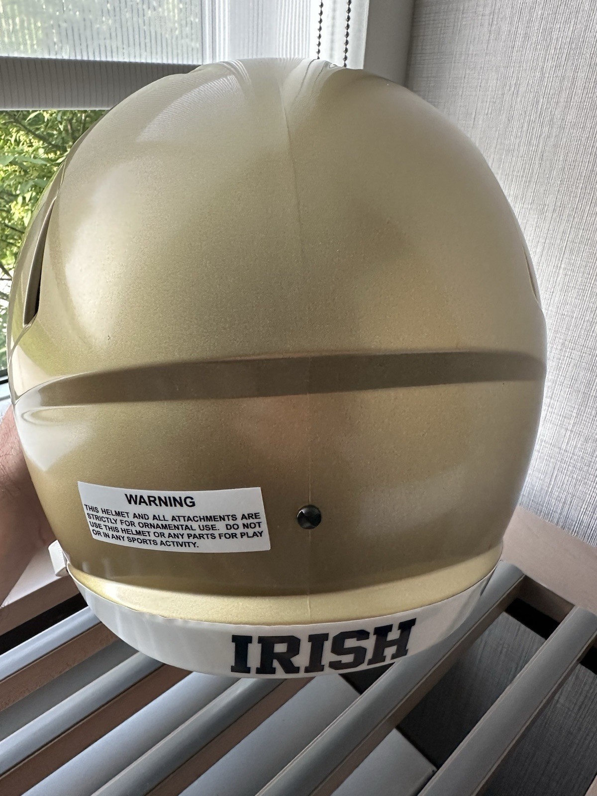 Marcus Freeman Signed Notre Dame Fighting Irish Full Size Helmet Auto COA