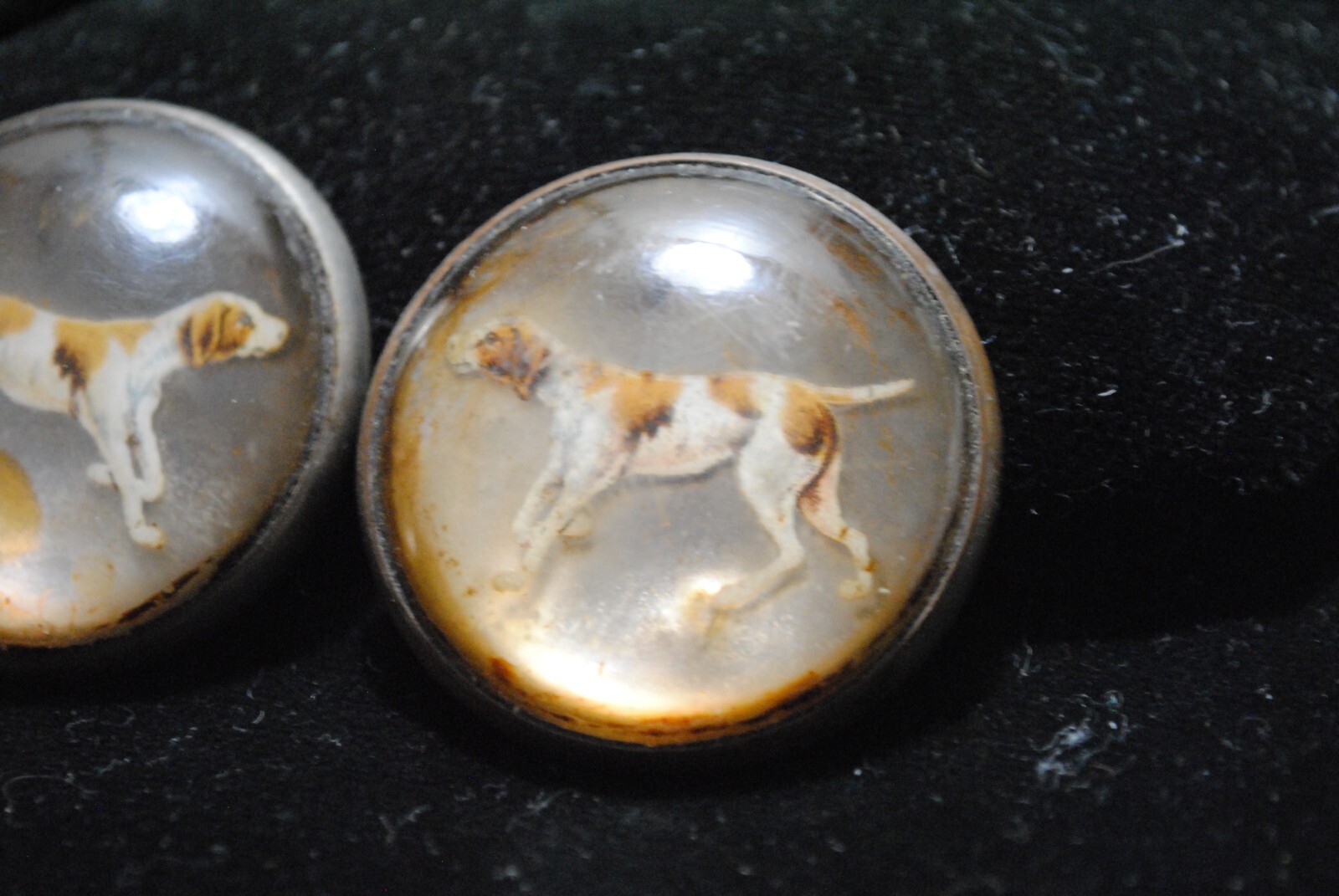 Antique Pair of Reverse Painted Hunting Dogs Glass Horse Bridle Rosettes