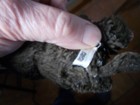 Bild 6 von 7
