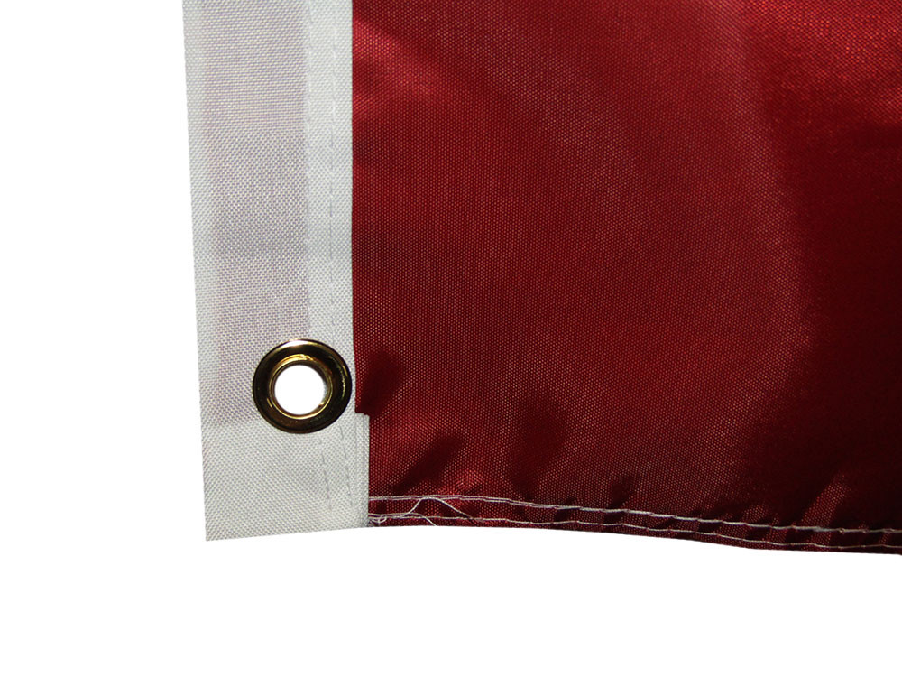 Born This Way Flagge 3x5 Fuß – Polyester, Bedruckt, Mit Metallösen