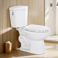 Standard Toilet for Bathroom 17" Elongated Toilet with Soft Close Seat 1.01 GPF