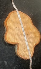 2x large 10 inch Wooden Birch slices, Unfinished Wood Circles for DIY crafts.