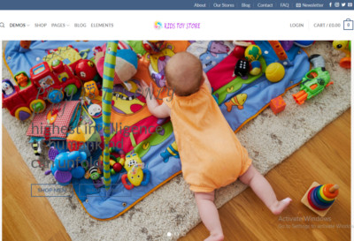 Kids Toys Store Drop shipping Turnkey Business Website