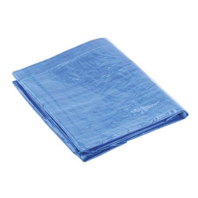 Sealey Plane 2,44 x 3,05m Blau TARP810